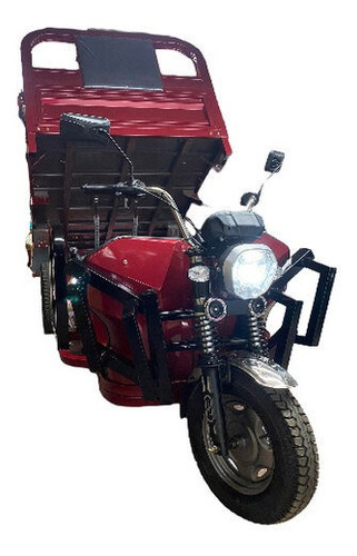 Imagen 16 de 17 de Pegaso Bike /moto Carga Torito Triciclo Electrico Homologado