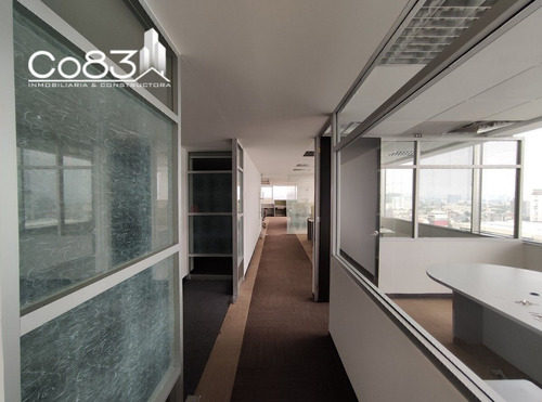 Imagen 5 de 17 de Renta - Oficina - Insurgentes Sur - 1,000 M2 - Piso 14
