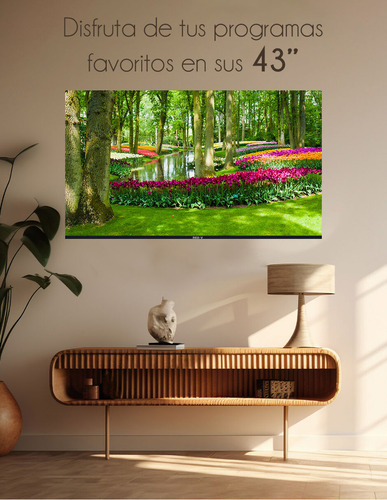 Televisión Smart Tv Redv 43 Pulgadas Android 14 Hd Red43stv