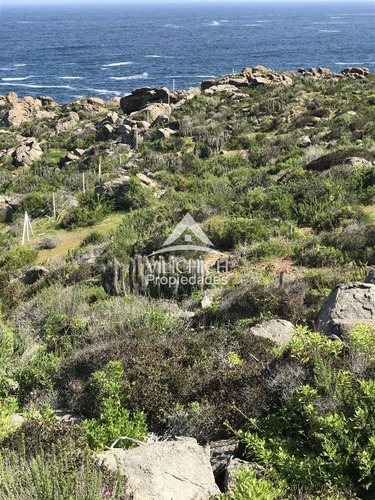 Venta Sitio En Arrayan Costero, La Serena