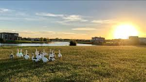 Hermoso Lote A La Laguna En Cul De Sac!!!! - El Cantón - Norte - Escobar.