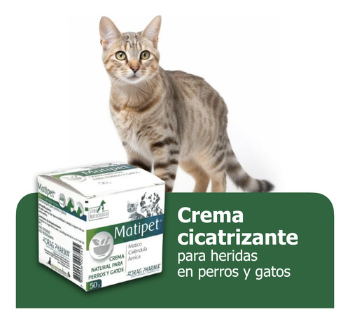 Matipet Crema Matico Perros Y Gatos 50 Grs Cicatriza Heridas