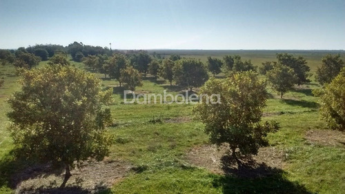 Imagen 18 de 25 de Terreno En Venta O Permuta Ubicado En Punta Indio, Resto De La Provincia