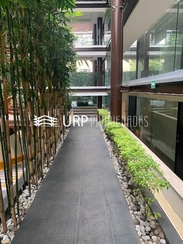 Imagen 2 de 28 de Bonito Ph En Venta, Calle Galileo Con Roof Garden Grande