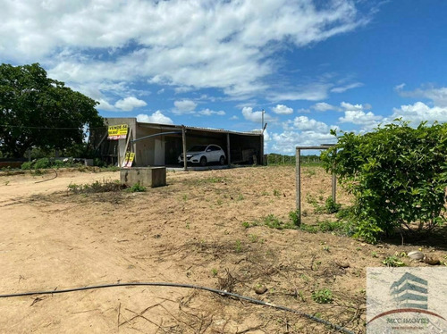 Imagem 8 de 10 de Granja A Venda Em Macaíba