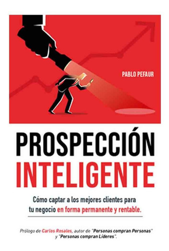 Pablo Pefaur | Prospeccion Inteligente