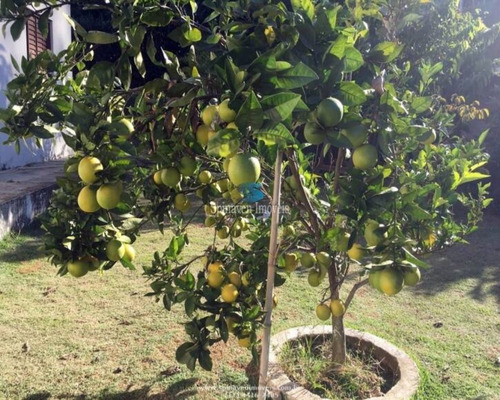 Imagem 20 de 30 de Linda Chácara Alto Padrão Faltando Acabamento - Redução De Valores - De 990 Mil Por 690mil - Ch00596 - 69735570