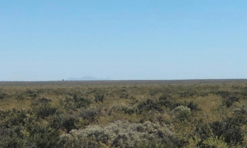 Campo En Vaca Muerta Yacimiento Petrolero El Córcovo