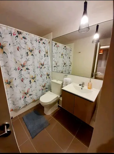 Vendo Dpto 1d 1b En Condominio Robles Del Volcán Pucón