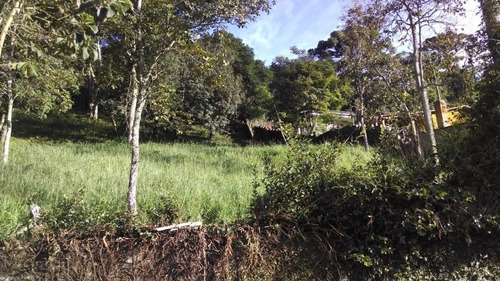 Imagem 4 de 7 de Lote A Venda Em Santo Antonio Do Pinhal - St-413-
