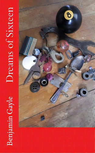 Dreams Of Sixteen, De Gayle, Benjamin., Vol. 1. Editorial Createspace, Tapa Blanda En Inglés
