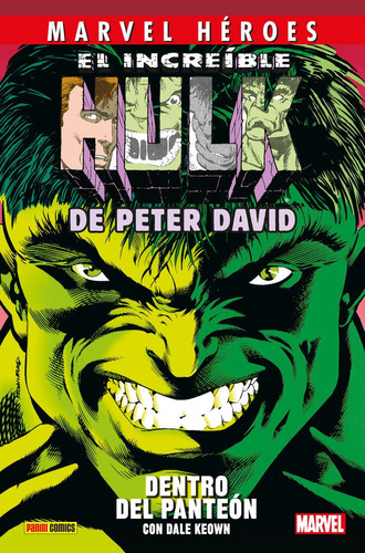 Libro El Increible Hulk De Peter David 3 Dentro Del Pante...