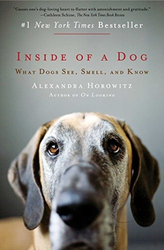 Inside Of A Dog What Dogs See, Smell, And Know
