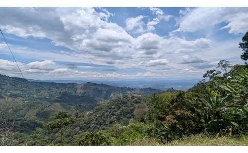 Venta Finca Cordoba - 3.5 Hectareas