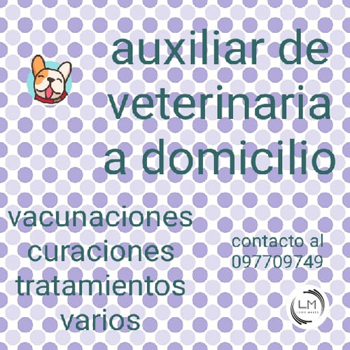 Auxiliar De Veterinario 