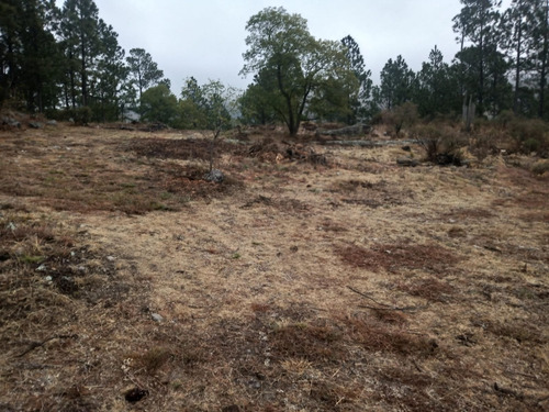 Macrolote En Venta San Clemente