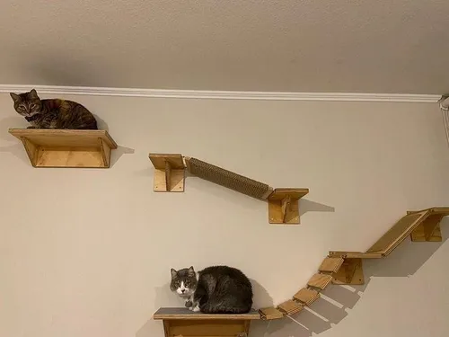 Repisas de online gatos
