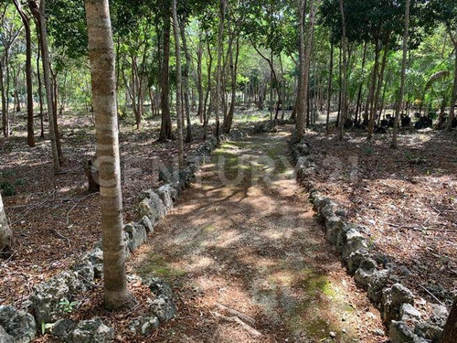 Venta De Terreno Cerca Prolongación La Luna Y Fonatur En Cancún