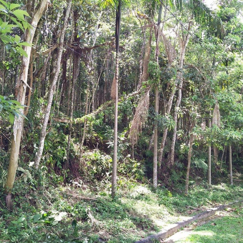Imagem 2 de 5 de Terreno Em Condomínio Para Venda Em Itapecerica Da Serra, Jardim Petrópolis - 660_2-1130302
