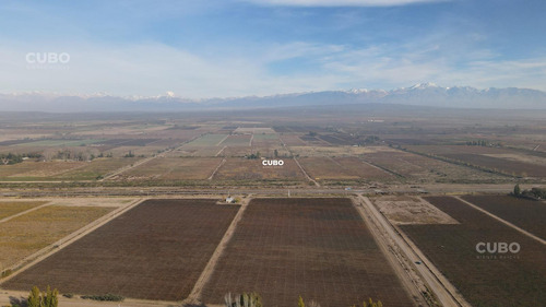47 Hectareas De Campo Con Gran Frente En Ruta Nacional 40 (acceso Sur) Ugarteche Lujan De Cuyo