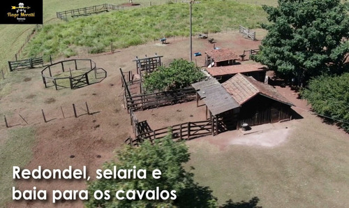 Imagem 17 de 19 de Excelente Fazenda Á Venda Com Ótima Localização Sarutaiá-piraju - Fa00036 - 68204645