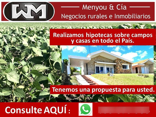 Venta Campo Hipotecas En Campos Y Casas En Uruguay
