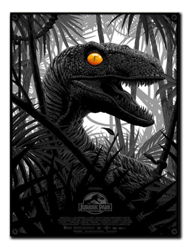 #144 - Cuadro Vintage 30 X 40 - Jurassic Park - No Chapa 