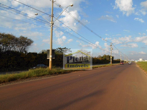Terreno Comercial Para Locação, Residencial Real Parque Sumaré, Sumaré. - Te0460