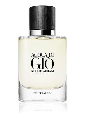 Perfume Giorgio Armani Acqua Di Gio Edp 40ml Recargable