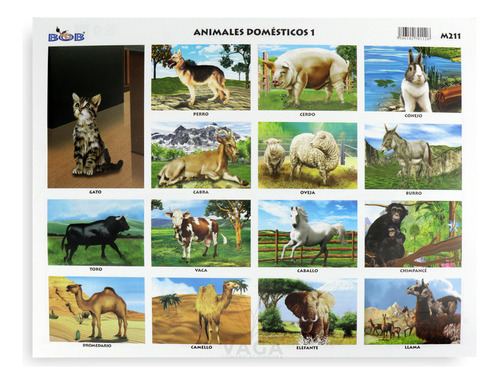 Block 25 Monografias Animales Acuaticos ,domesticos 