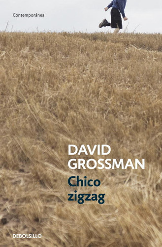 Chico Zigzag, De Grossman, David. Editorial Debolsillo, Tapa Blanda En Español