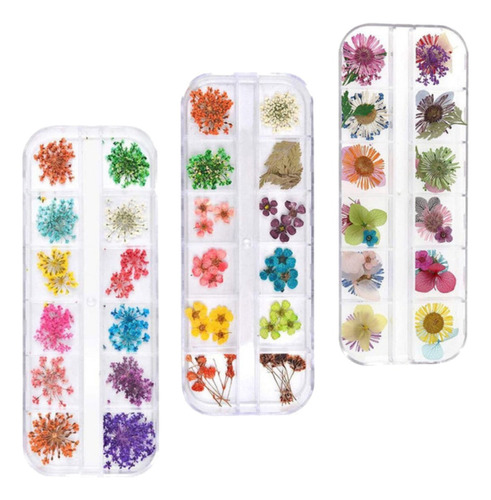 Decoracion Uñas Esculpidas Flores Secas Strass Tip Nail Art