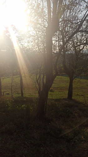 Imagem 14 de 17 de 10. Lotes A Venda (800m²) , Agende Já Uma Visita