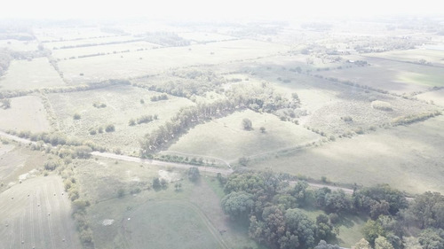 Imagen 7 de 17 de Campo - Fátima Estacion Empalme