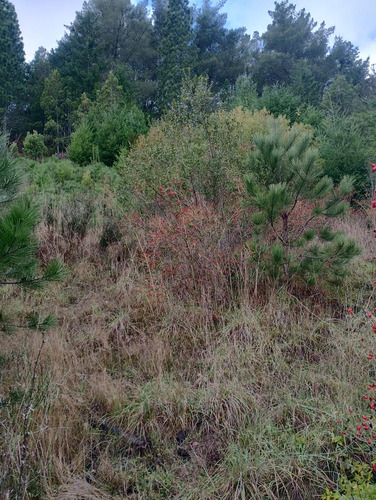 Terreno En Paraje Entre Rios, Lago Puelo.