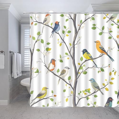 Conjunto De Cortina De Ducha De Aves Primaverales, Colorida