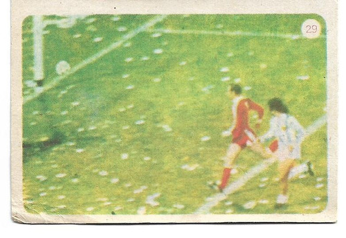 Figurita / Argentina Campeon 1978 / Nº 29