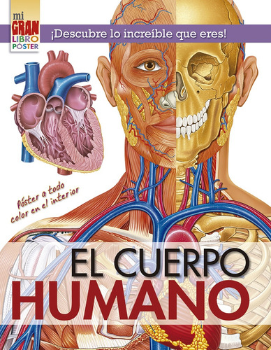 Mi Gran Libro Poster: El Cuerpo Humano  - Varios Autores