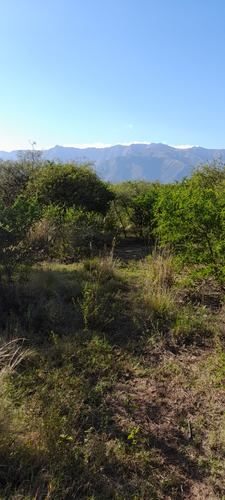 Lote, Terreno En Traslasierra, Córdoba. Los Pozos