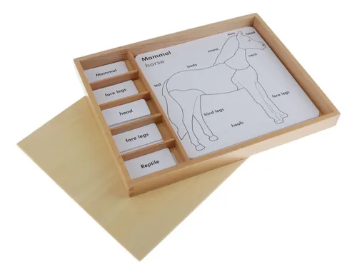 comprar Materiales De Montessori - Grandes Tarjetas De Rompecabezas