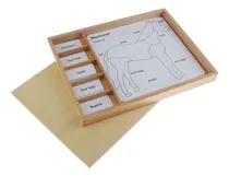 Comprar Materiales De Montessori - Grandes Tarjetas De Rompecabezas