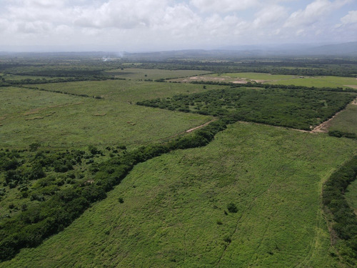 Imagen 19 de 30 de Finca En Venta Aguadagrande, Siquisique Cod. 23-7859