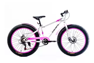 Bicicleta Fat Hunter Rodado 24 Ruedas Anchas Sbk Patona