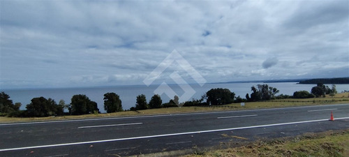 Sitio - 5.000 M2 Cada Uno - Cascadas - Puerto Octay