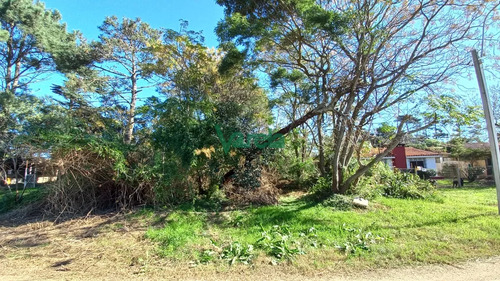 Venta Terreno En Pinamar Sur, Espectacular Entorno!