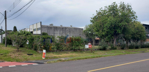 Terreno À Venda, 960 M² Por R$ 1.199.000,00 - Prado Velho - Curitiba/pr - Te0068