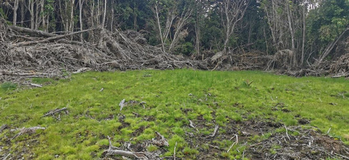 Sitios En Venta En Hualaihue