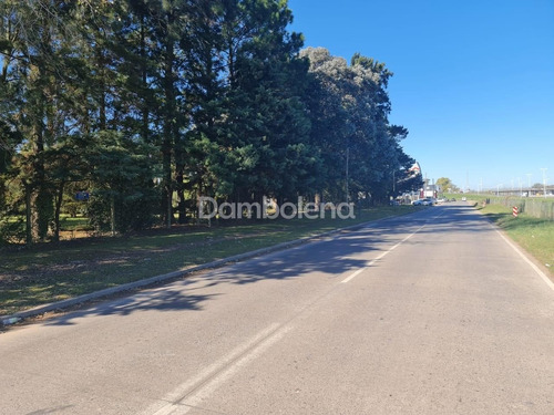 Imagen 9 de 14 de Terreno Fraccion En Venta Sobre Colectora Norte Acceso Oeste - General Rodríguez - G.b.a. Zona Oeste