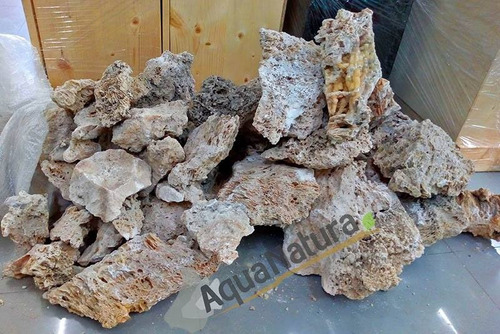 Piedra Caliche Roca Piezas Ciclidos Africanos Marino Acuario