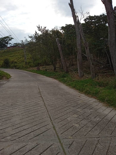 Imagen 5 de 8 de Lote De Terreno En El Valle 1.068mts